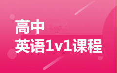 ӢZ1v1o