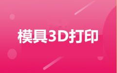 3Dӡģ