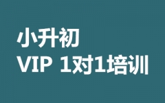 СVIP 11Ӗ(xn)