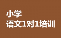 СW(xu)Z11Ӗ(xn)