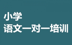 СW(xu)Z(y)һ(du)һӖ(xn)