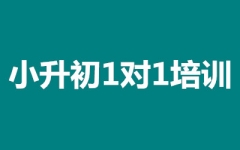 С11Ӗ(xn)