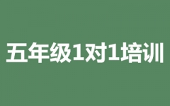 꼉11Ӗ(xn)