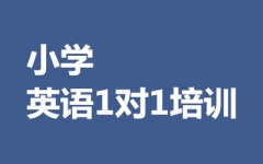 СW(xu)ӢZ11Ӗ(xn)