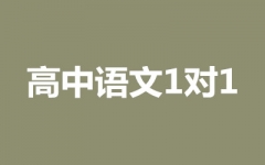 Z11