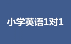 СW(xu)ӢZ11