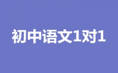 Z11