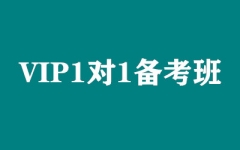 VIP11俼