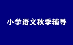 СW(xu)Z＾o(do)