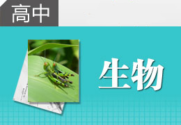 ȫ꼯Ӗ(xn)I(yng)