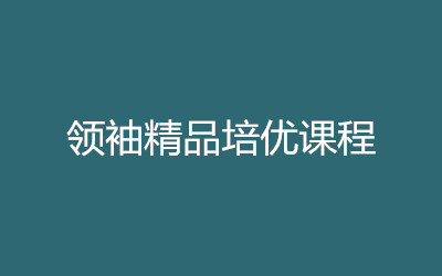 ȫ꼯Ӗ(xn)I(yng)