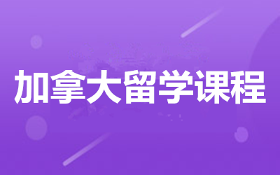 ȫ꼯ӖI