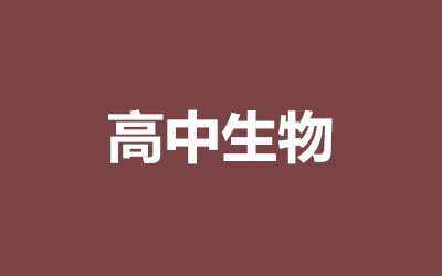 ȫ꼯Ӗ(xn)I