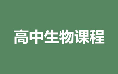 ȫ꼯Ӗ(xn)I