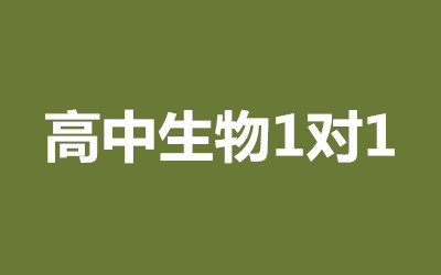 ȫ꼯ӖI