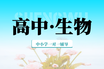 ȫ꼯Ӗ(xn)I