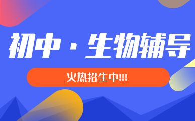 ȫ꼯Ӗ(xn)I
