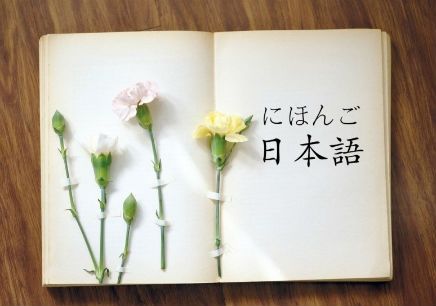 ȫ꼯ӖI